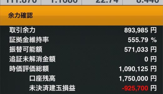 トルコリラ積立投資は地獄@6ヶ月経過でマイナス100万突破しそう