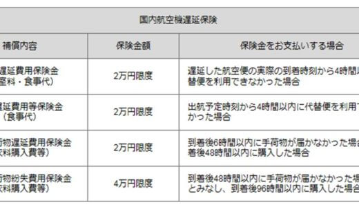 JAL JCB CLUB-Aゴールドカードの国内線航空便遅延保険を利用しようとしたが往路だったので利用できなかった